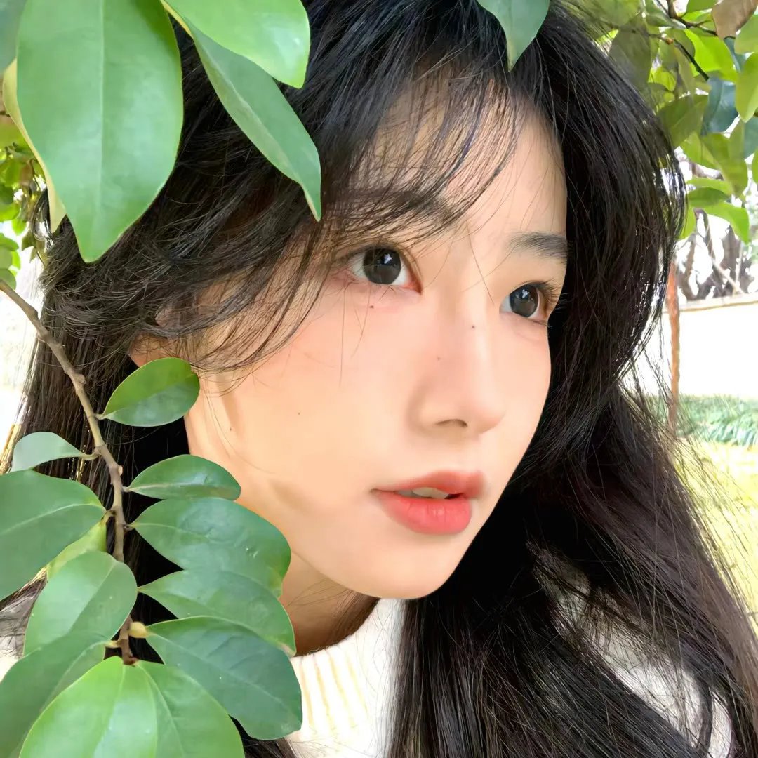 记忆花园海报